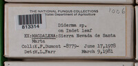 Image Associated With the Occurence